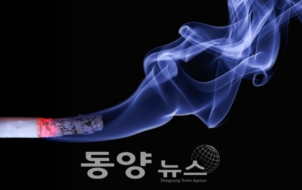 상반기 담배 판매량 17.7억갑…전자담배 비중 지속 증가<br>​​​​​​​위 사진은 본 기사와 관련 없음. (사진=동양뉴스DB)