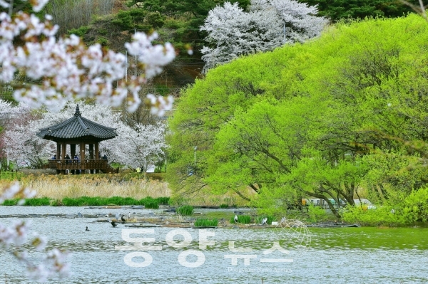 아산시 신정호 수변공원 (사진=아산시 제공)